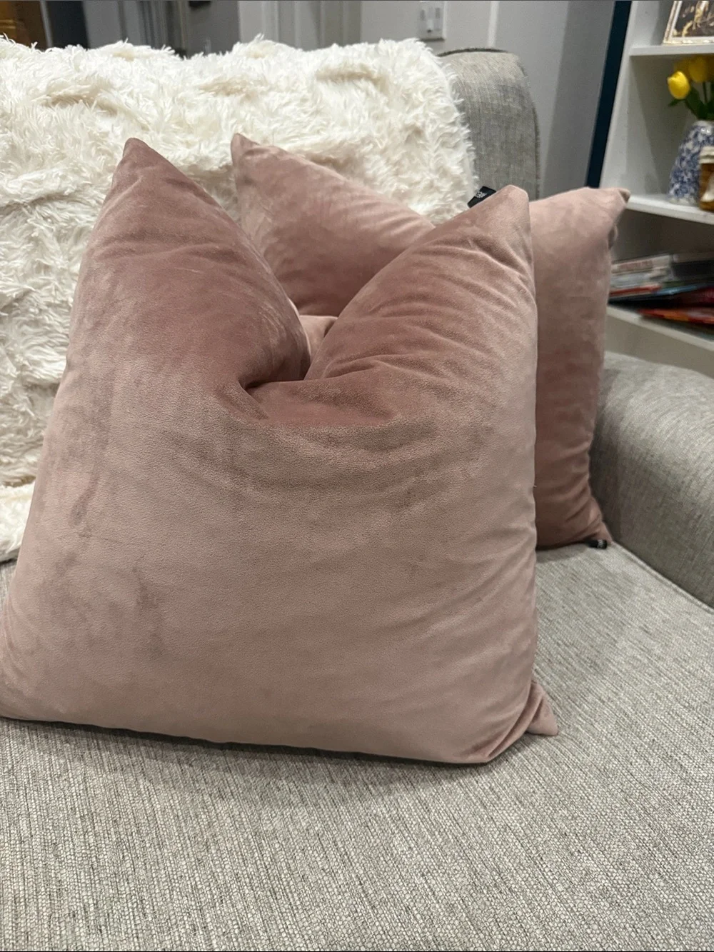 Plush Velvet Accent Pillow in Dusty Rose - Soft Home Pillow set of 2